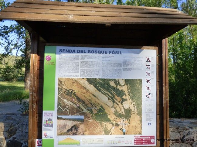 El Bosque Fosil De Verdena Panel Informativo 649x486 1 1 