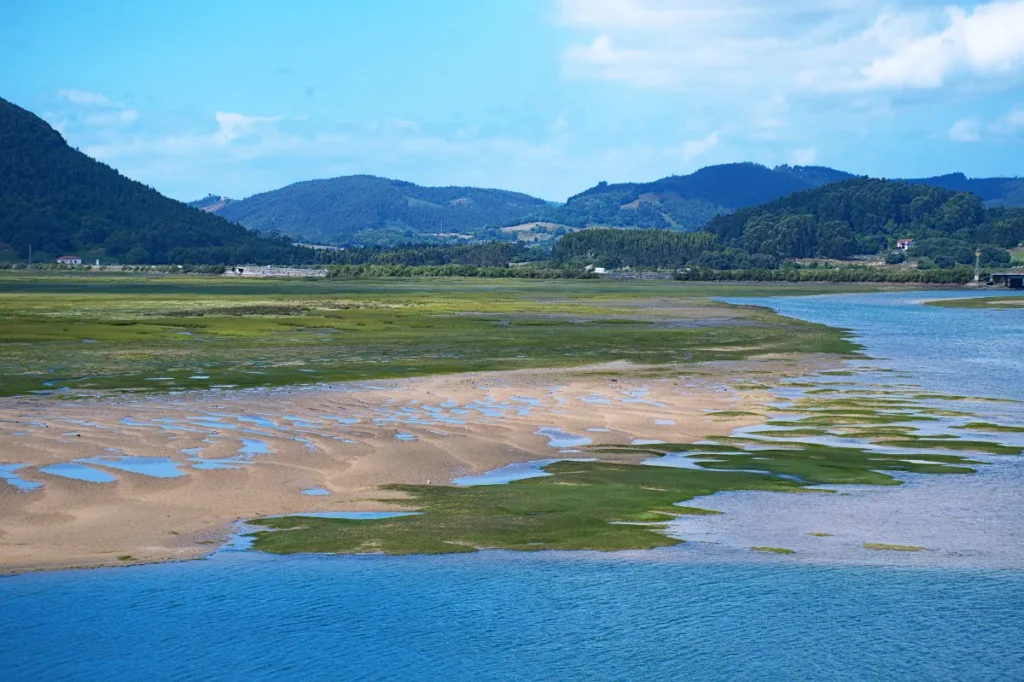 Restauración Ecológica En Cantabria 