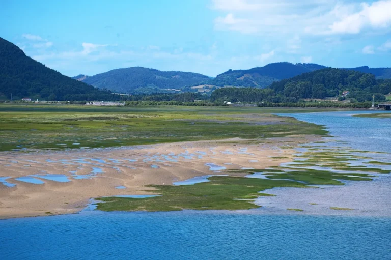 Restauración Ecológica En Cantabria