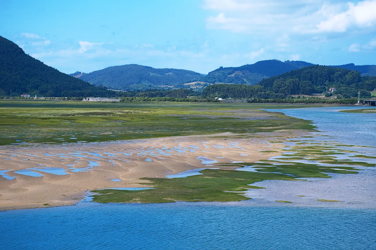 Restauración Ecológica En Cantabria