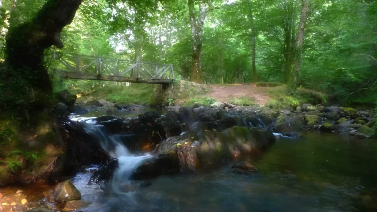 Que Ver En El Parque Saja Besaya De Cantabria