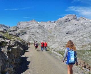 Picos De Europa 1.jpg 