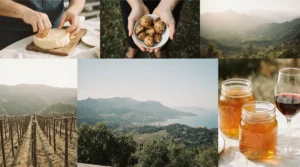 Mejores Experiencias Gastronomicas En Cantabria